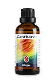 Cantharon