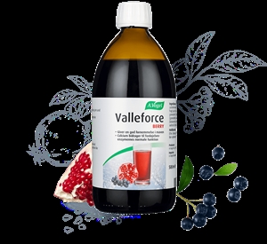 Valleforce Berry A. Vogel 500 ml