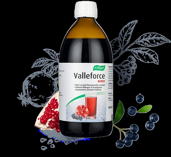 Valleforce Berry A. Vogel 500 ml