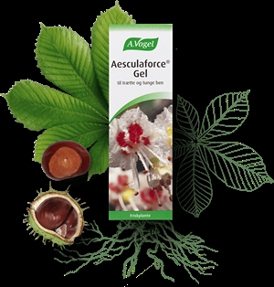 Aesculaforce Gel A. Vogel 100 g