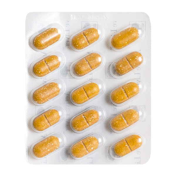 Active Liver Leverfunktion 120 tabletter