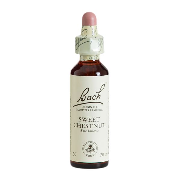 Bach Ægte Kastanie Sweet Chesnut 30