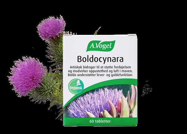 Boldocynara A. Vogel 60 tabl
