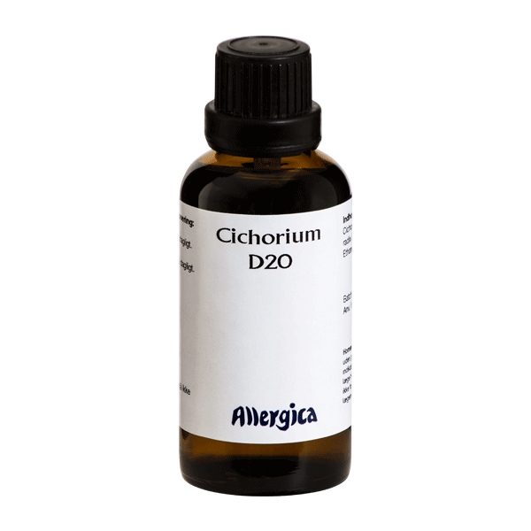 Cichorium D20