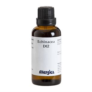 Echinacea D12