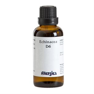 Echinacea D6