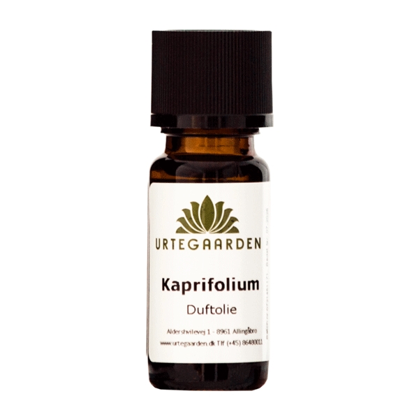 Kaprifolium Duftolie 10 ml