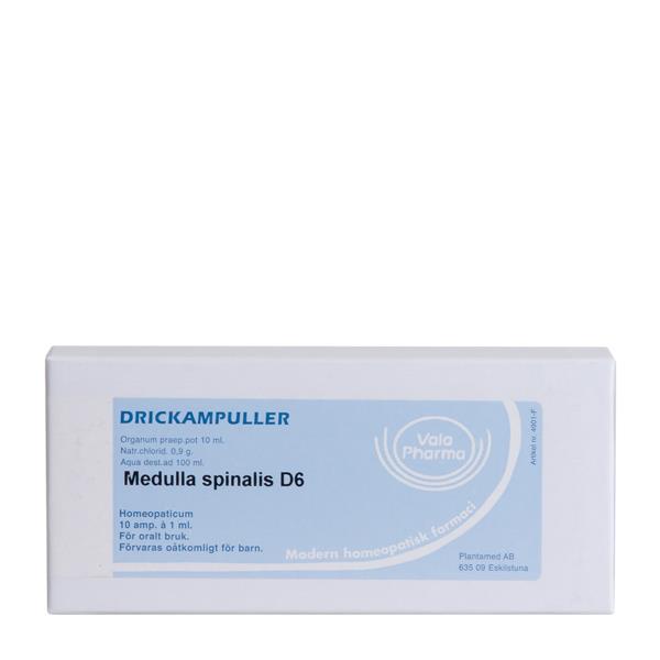 Medulla spinalis D6 10 ampuller