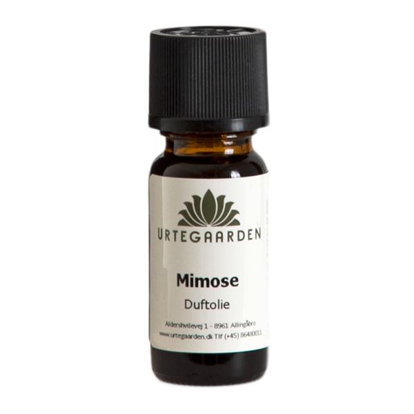 Mimose duftolie 10 ml