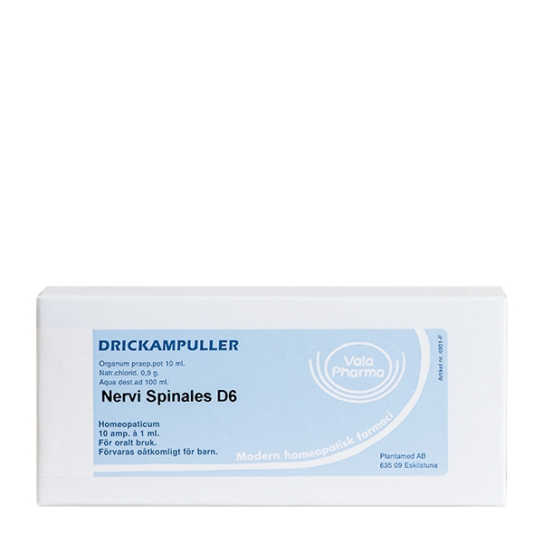 Nervi spinalis D6 10 ampuller