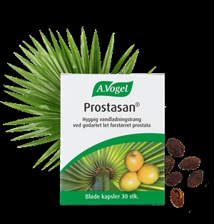 Prostasan A. Vogel 30 kaps