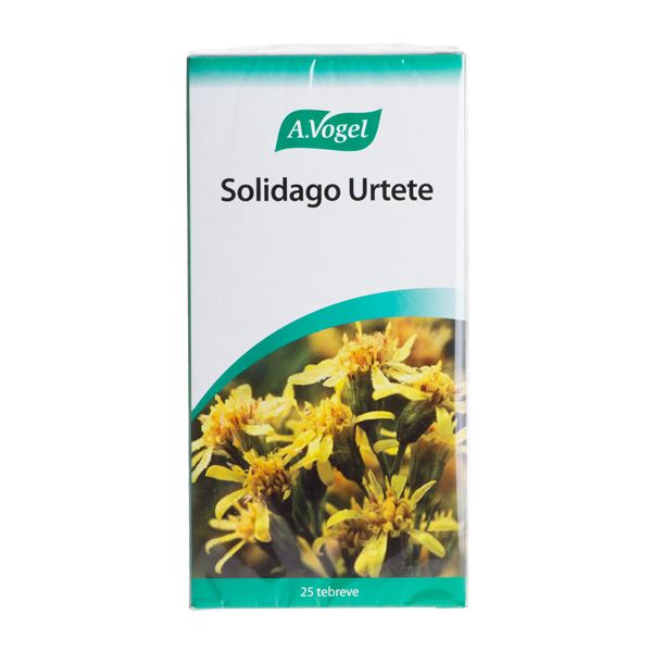 Solidago Urtete A. Vogel 25 breve