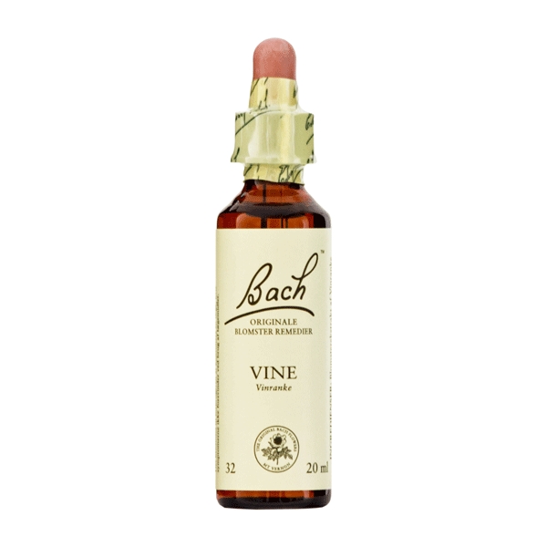 Vinranke Vine Bach 32